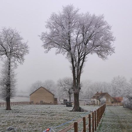 Bienvenue A La Grenouillere Villa Le Magny  Luaran gambar