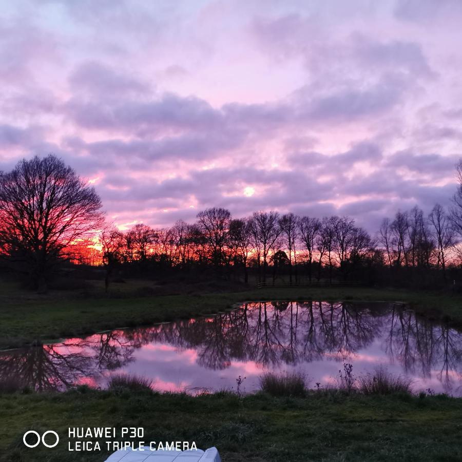 Bienvenue A La Grenouillere Villa Le Magny  Luaran gambar